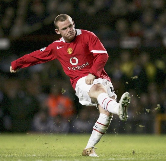 生涯打下了 生涯打下了